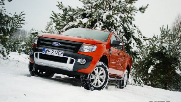 Zdjęcie ilustracyjne do artykułu