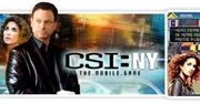 Cellna recenzja: CSI New York