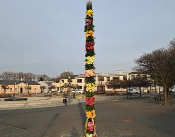 Wielka palma stanęła na rynku. "Pasja i energia tworzą coś wyjątkowego!"