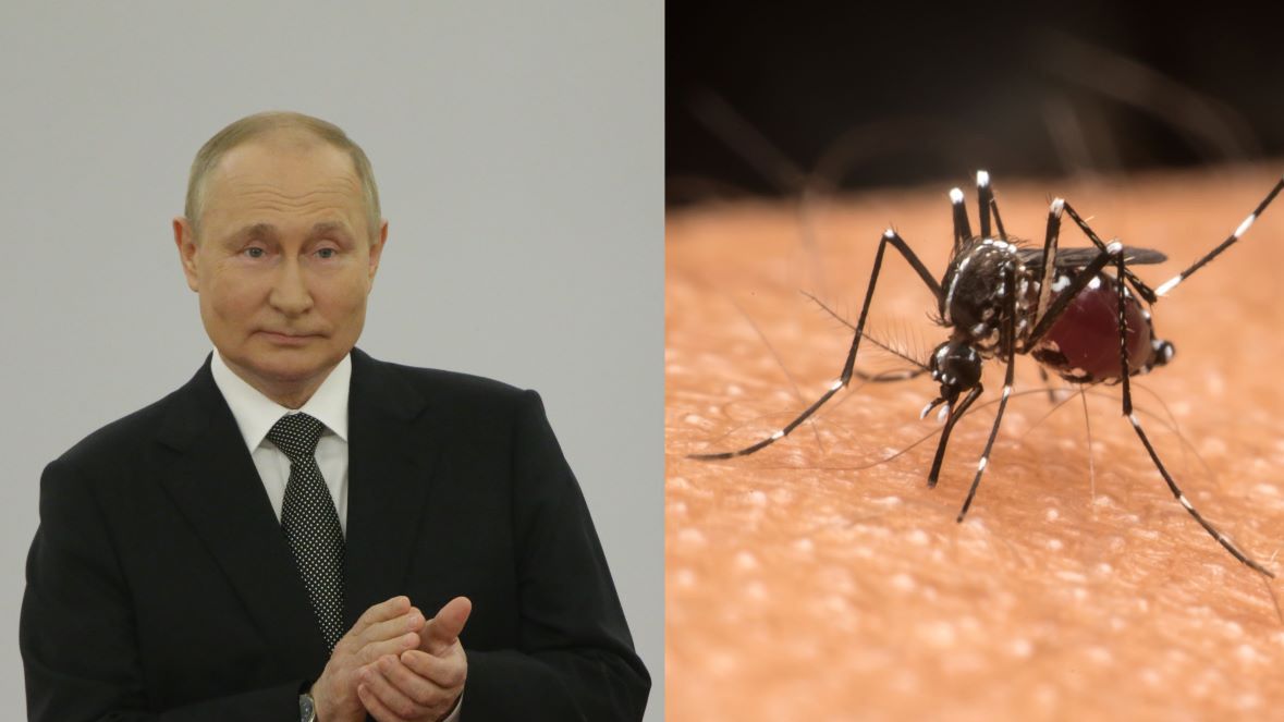 Rosjanie znowu rozpowszechniają fake-newsy 