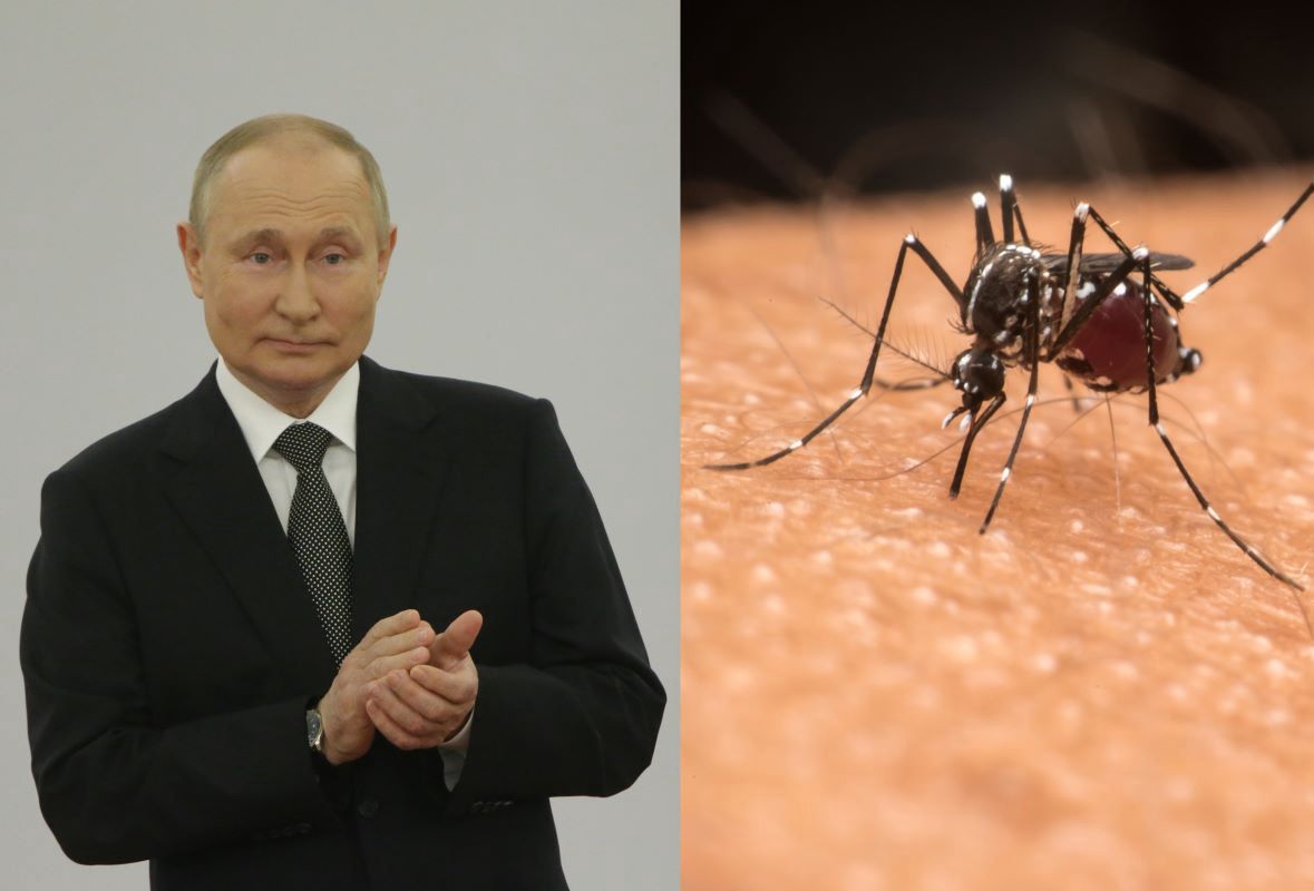 Rosjanie znowu rozpowszechniają fake-newsy 