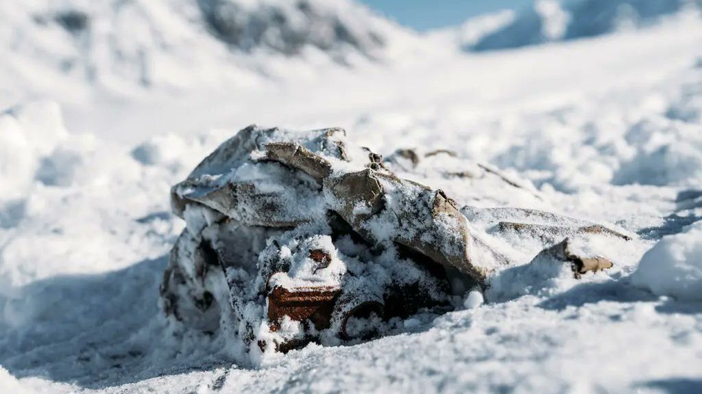 Znalezisko na lodowcu