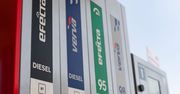 Prognozy cen paliw to koszmar. Benzyna prawie po 8 zł, a diesel znów w górę