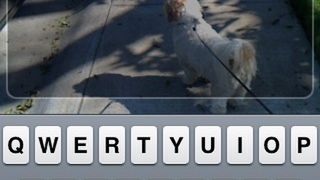 Email 'N Walk - pisz w ruchu 1