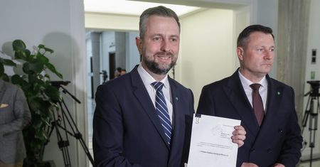"Naprawia błędy". PSL złożył własny projekt ws. polskiego SAFE