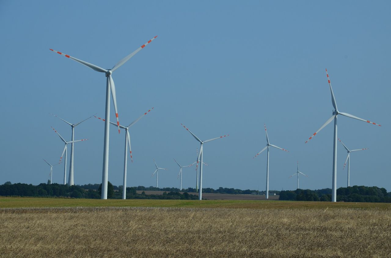 Nowa inwestycja Tauronu. Państwowy gigant przyspiesza "zielony zwrot”
