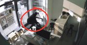 Złodziej przyszedł nocą. Nagrał go monitoring. Właściciel apeluje