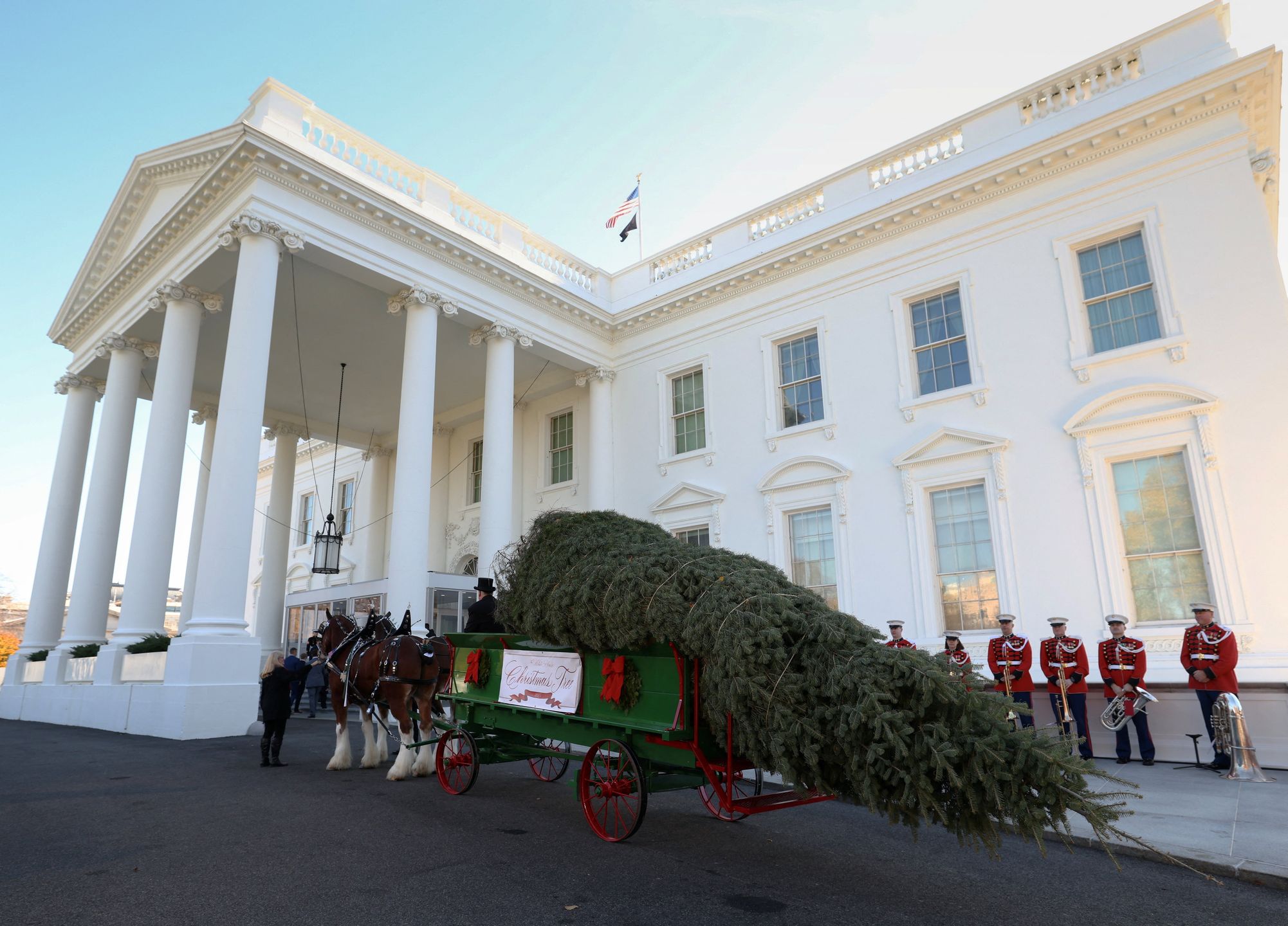 Melania Trump odebrała choinkę