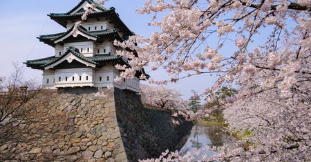 Przenieśli 360-tonową wieżę zabytkowego zamku w Japonii. Ciągnęło ją 1800 osób