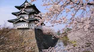 Przenieśli 360-tonową wieżę zabytkowego zamku w Japonii. Ciągnęło ją 1800 osób