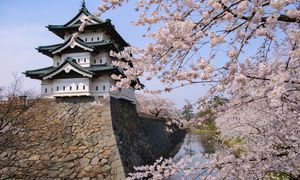 Przenieśli 360-tonową wieżę zabytkowego zamku w Japonii. Ciągnęło ją 1800 osób