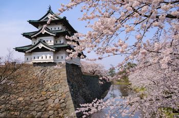 Przenieśli 360-tonową wieżę zabytkowego zamku w Japonii. Ciągnęło ją 1800 osób