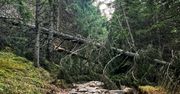 Wichury zrobiły swoje. Spustoszenie na szlakach w Tatrach