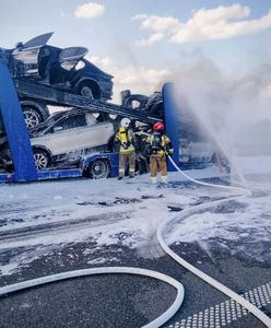 Auta na lawecie stanęły w ogniu. Wielki pożar na S19