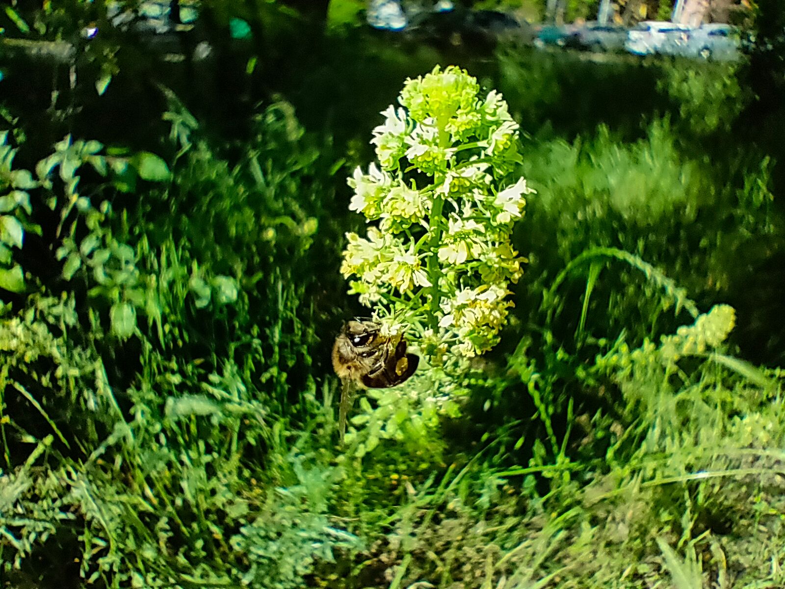 Najtańszy smartfon z peryskopowym teleobiektywem. realme X3 SuperZoom: test aparatu 54