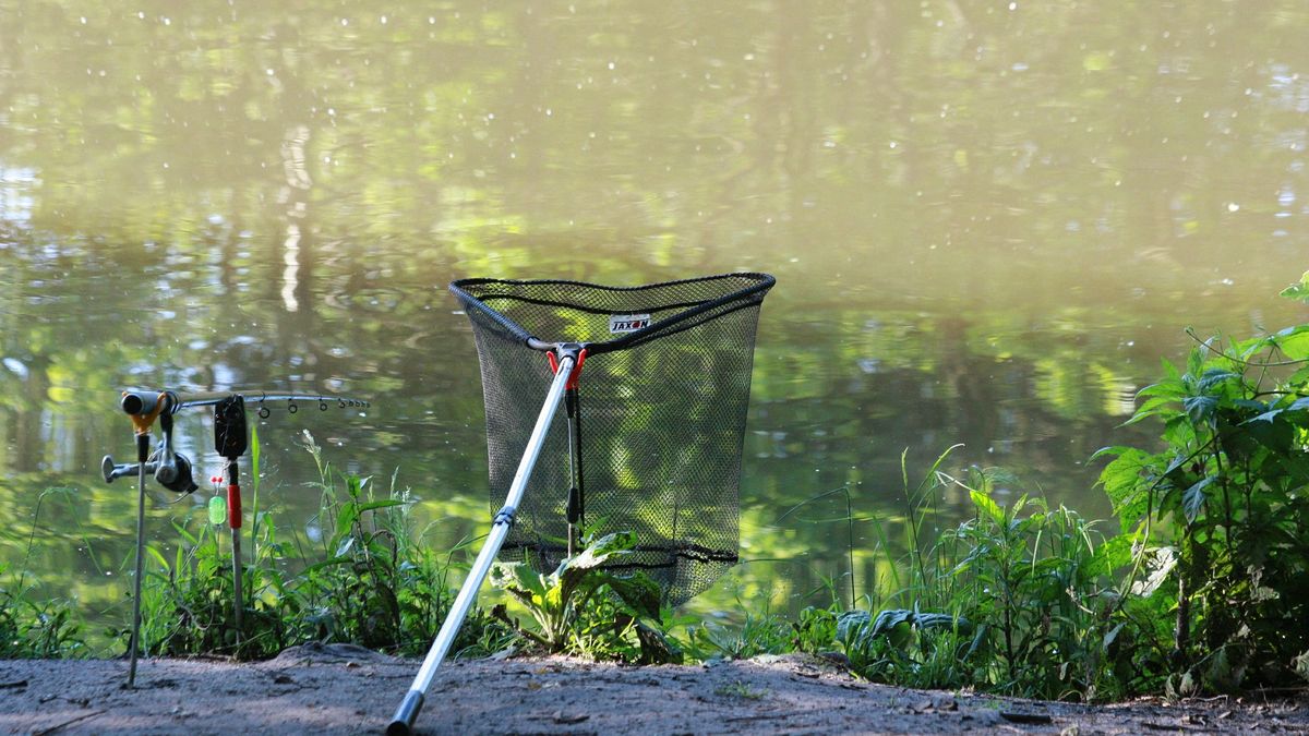 Echosondy dzięki którym będziesz wiedział jak złapać grubą rybę 1