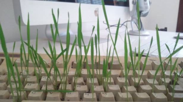 Wiosenne centrum sterowania – konkurs fotograficzny Gadżetomanii! 1