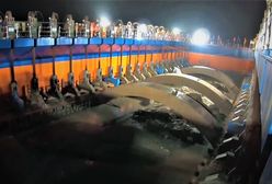 Niebywałe odkrycie. To zrobili z wrakiem 150-letniego statku