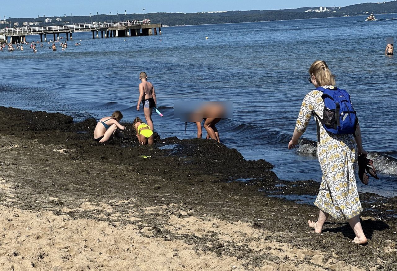 Plaża w Brzeźnie