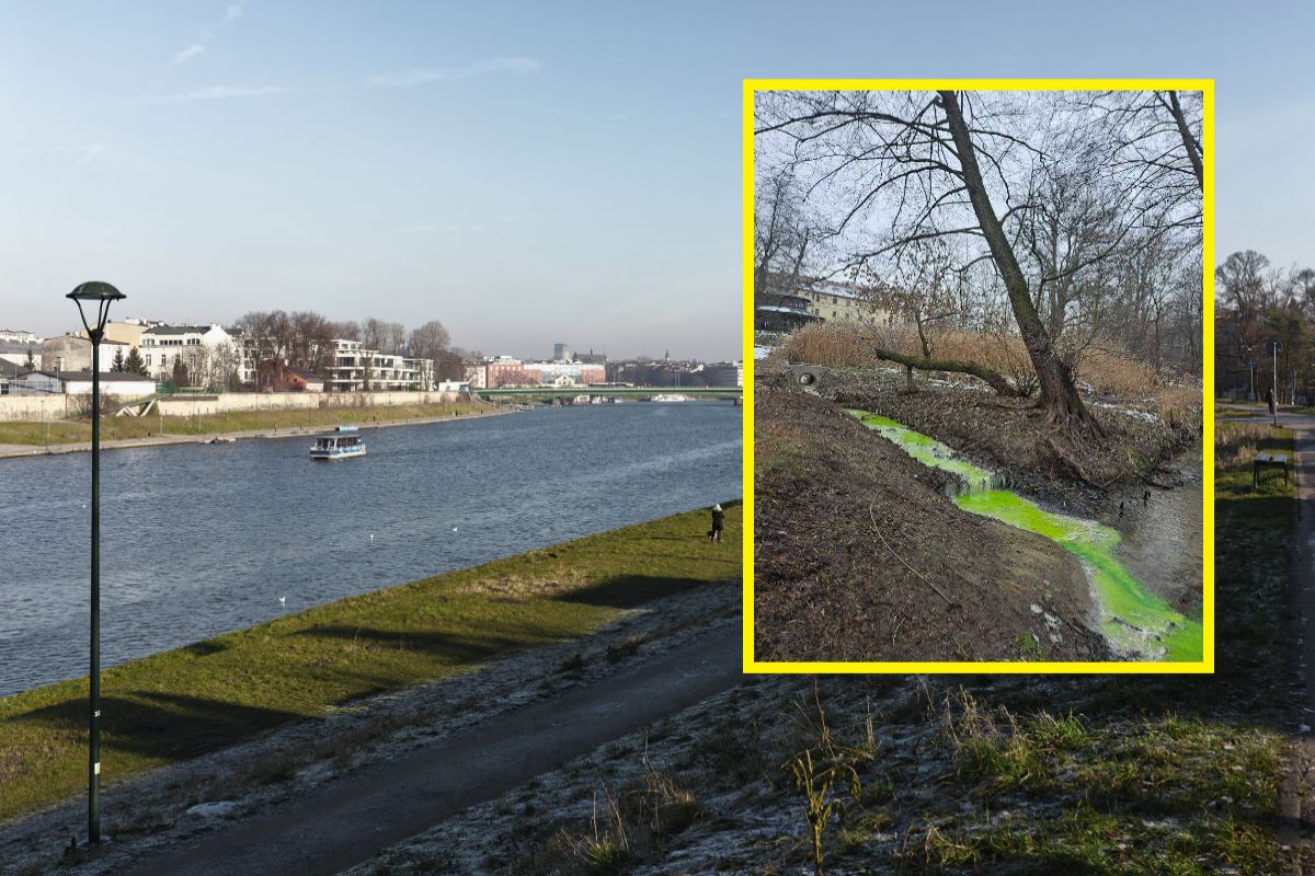 Rzeki zmieniły kolor. Niepokojące zjawisko. Zawiadomiono służby