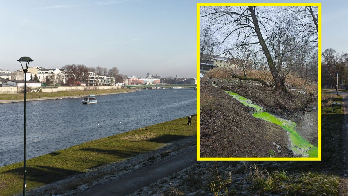 Lokalne rzeki zabarwiły się na zielono i czerwono. Dlaczego?
