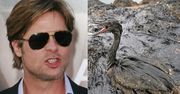 Brad Pitt: "Szefowie BP zasługują na karę śmierci!"