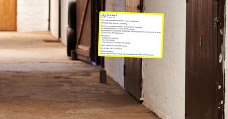 1500 euro i mieszkanie. Niemcy oferują. Polacy się obruszyli