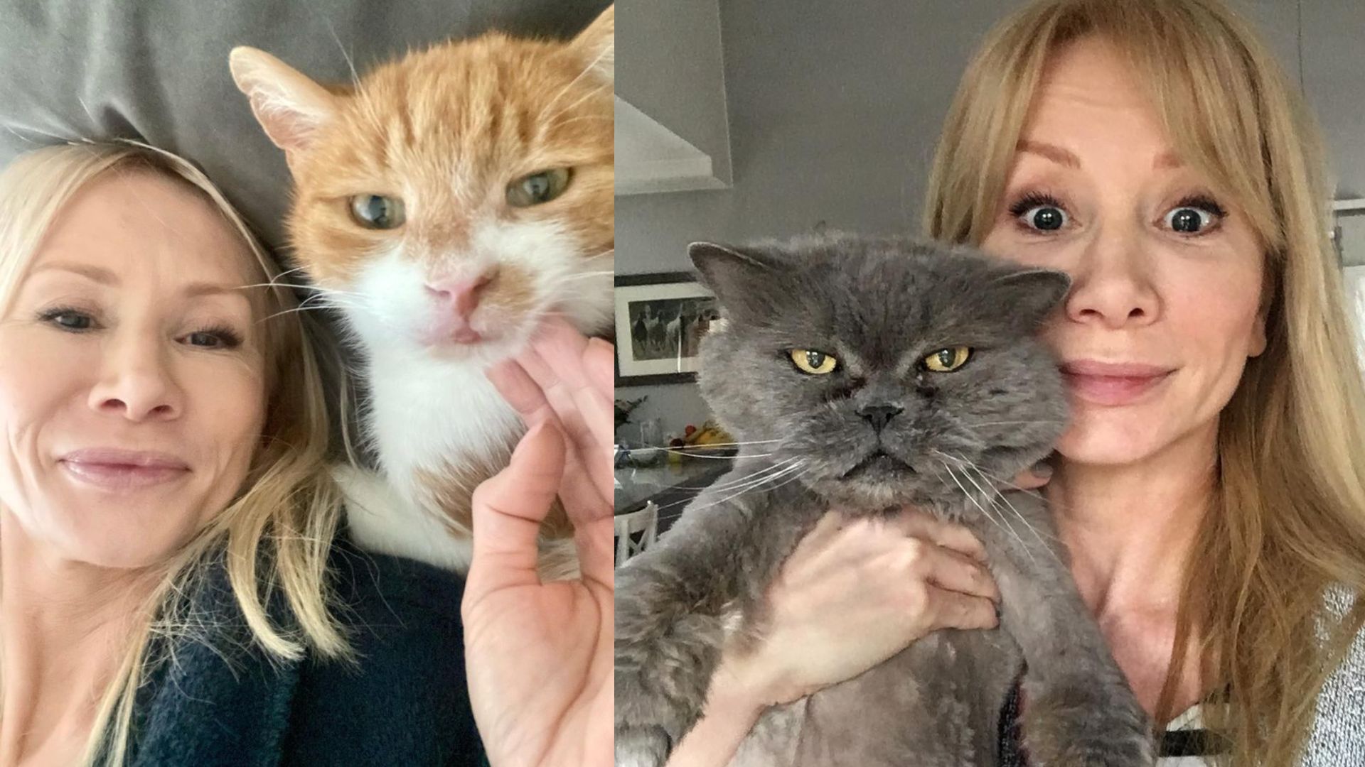 Tak mieszka Ewa Gawryluk