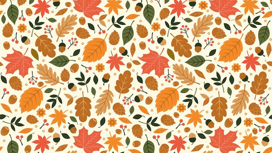 Test na spostrzegawczość. Jak szybko znajdziesz jeża ukrytego wśród liści?