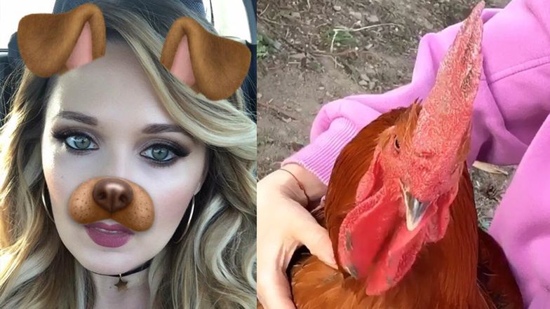 Gosia Andrzejewicz straciła ukochanego koguta