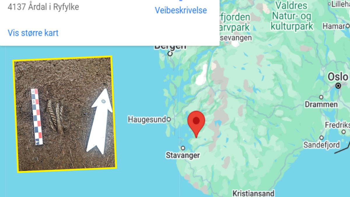 Znaleziono cztery srebrne bransolety z epoki wikingów