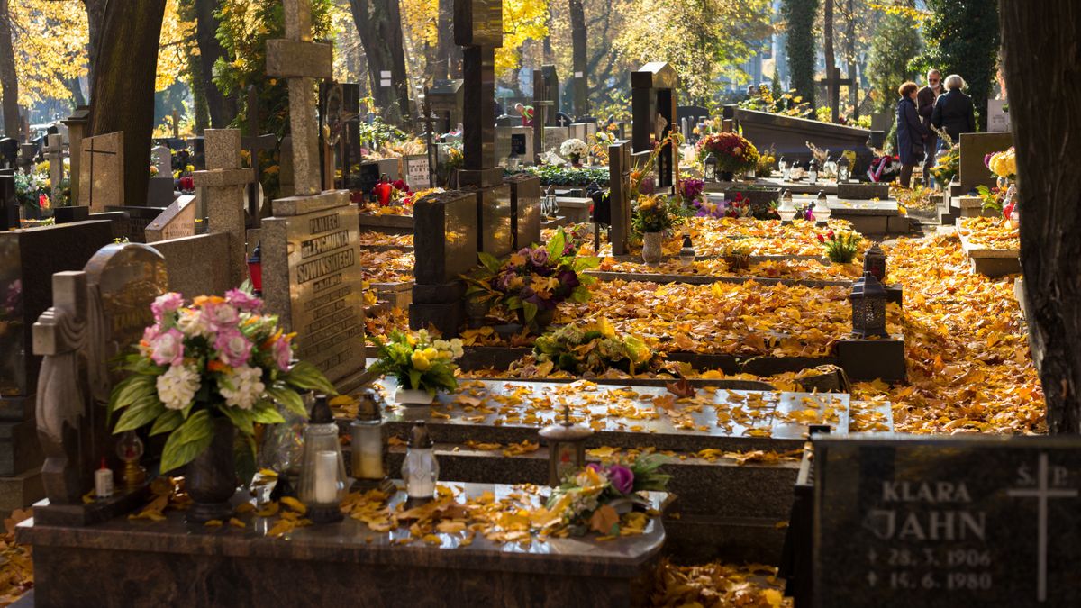 Katowice, 28.10.2021. Cmentarz przy ul. Francuskiej w Katowicach, 28 bm.  (kf) PAP/Andrzej Grygiel