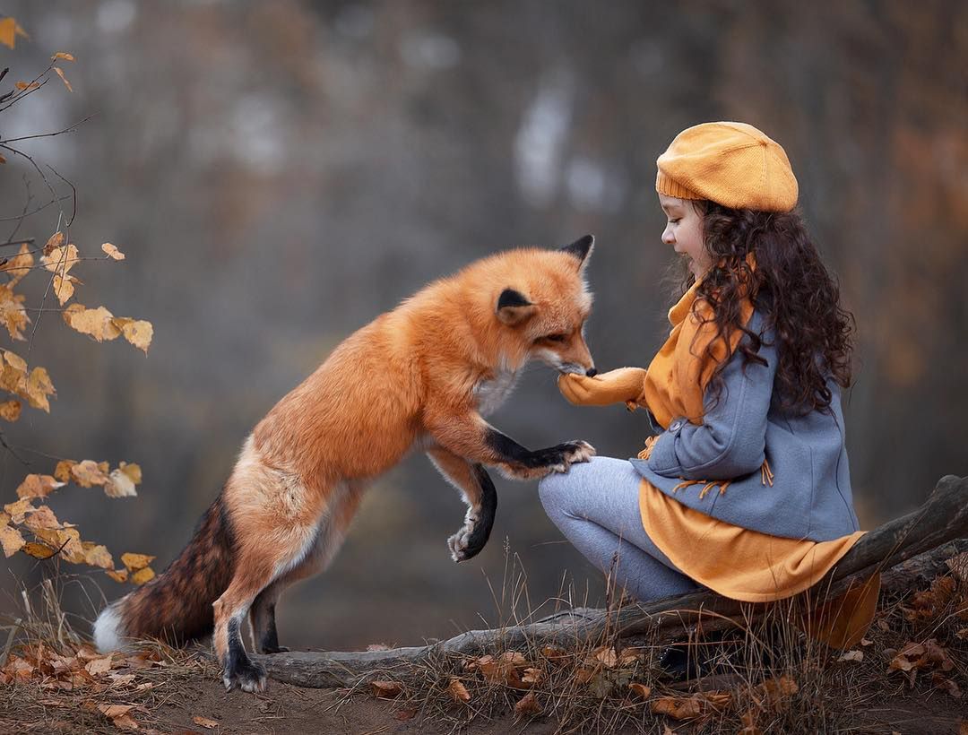 Dzieci i zwierzęta to połączenie idealne! Zobacz świetne zdjęcia rosyjskiej fotografki