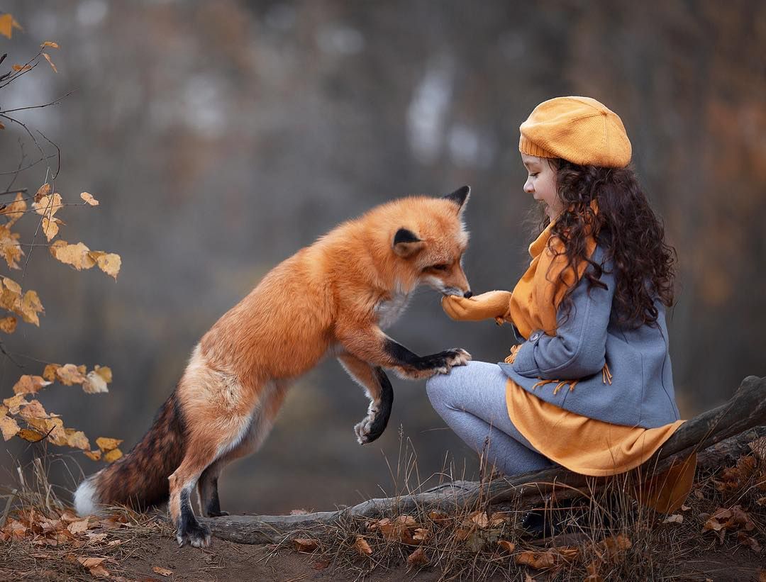 Dzieci i zwierzęta to połączenie idealne! Zobacz świetne zdjęcia rosyjskiej fotografki 1