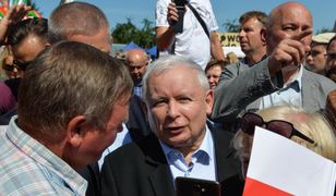 PiS traci w swoich słynnych bastionach. "To pokolenie wymiera, a ja mam ich dość"