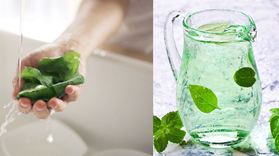 Woda z bazylią. Zobacz, dlaczego warto ją pić (WIDEO)