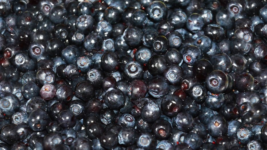 Jagody, borówki czy czarne porzeczki - co jest najzdrowsze?