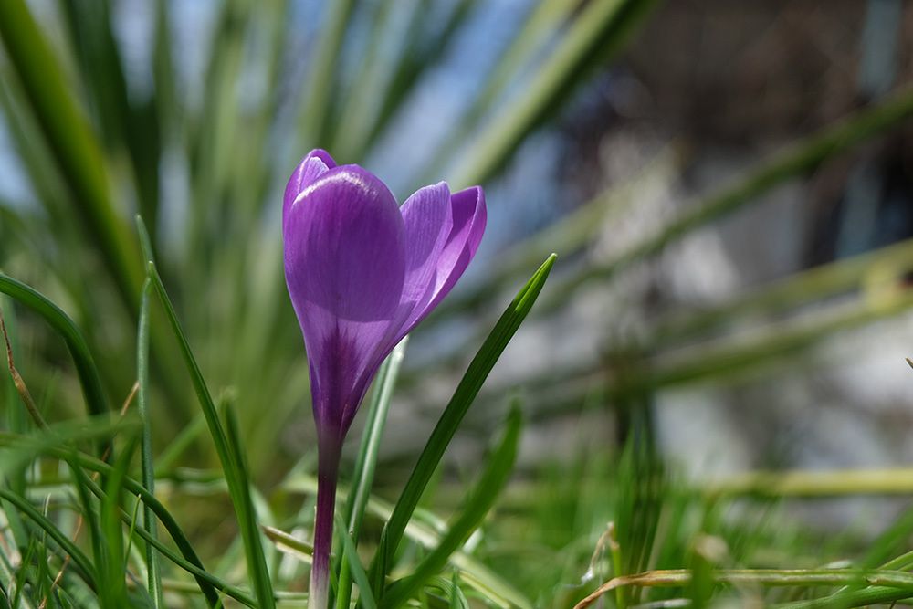 Fujifilm X-A2 - bezluzusterkowiec z matrycą APS-C w przyzwoitej cenie [test] 41