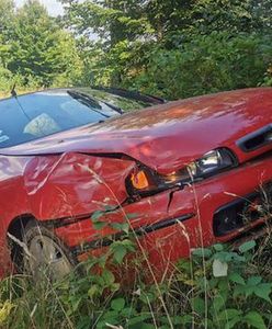 Naruszył sądowy zakaz, próbował zepchnąć policjantów z drogi. Skończył w drzewie