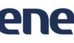 Joanna Korczyk-Ulman: z Vistula Group do Veneo