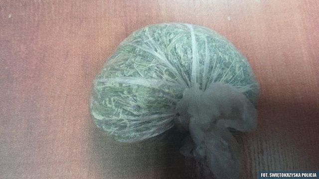 Odpowie za susz zakazany prawem
