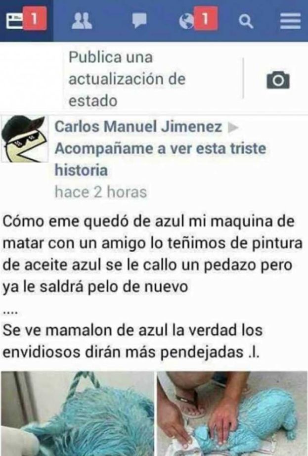 Obraz