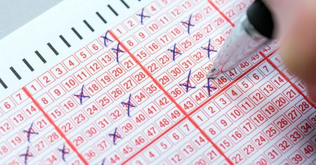 Wyniki Lotto 25.12.2025 – losowania Lotto, Lotto Plus, Multi Multi, Ekstra Pensja, Kaskada, Mini Lotto