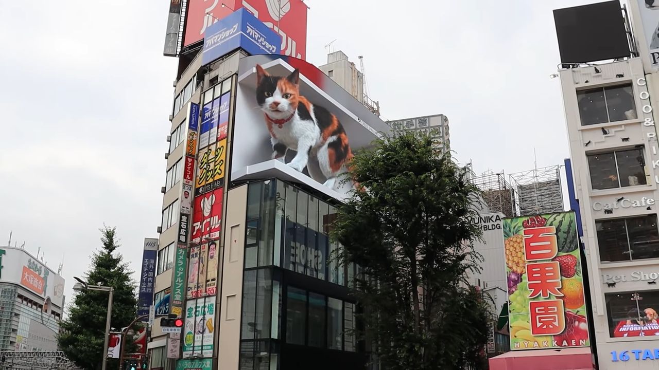 Olbrzymi kot pojawił się na ulicach Tokio. Robi wrażenie