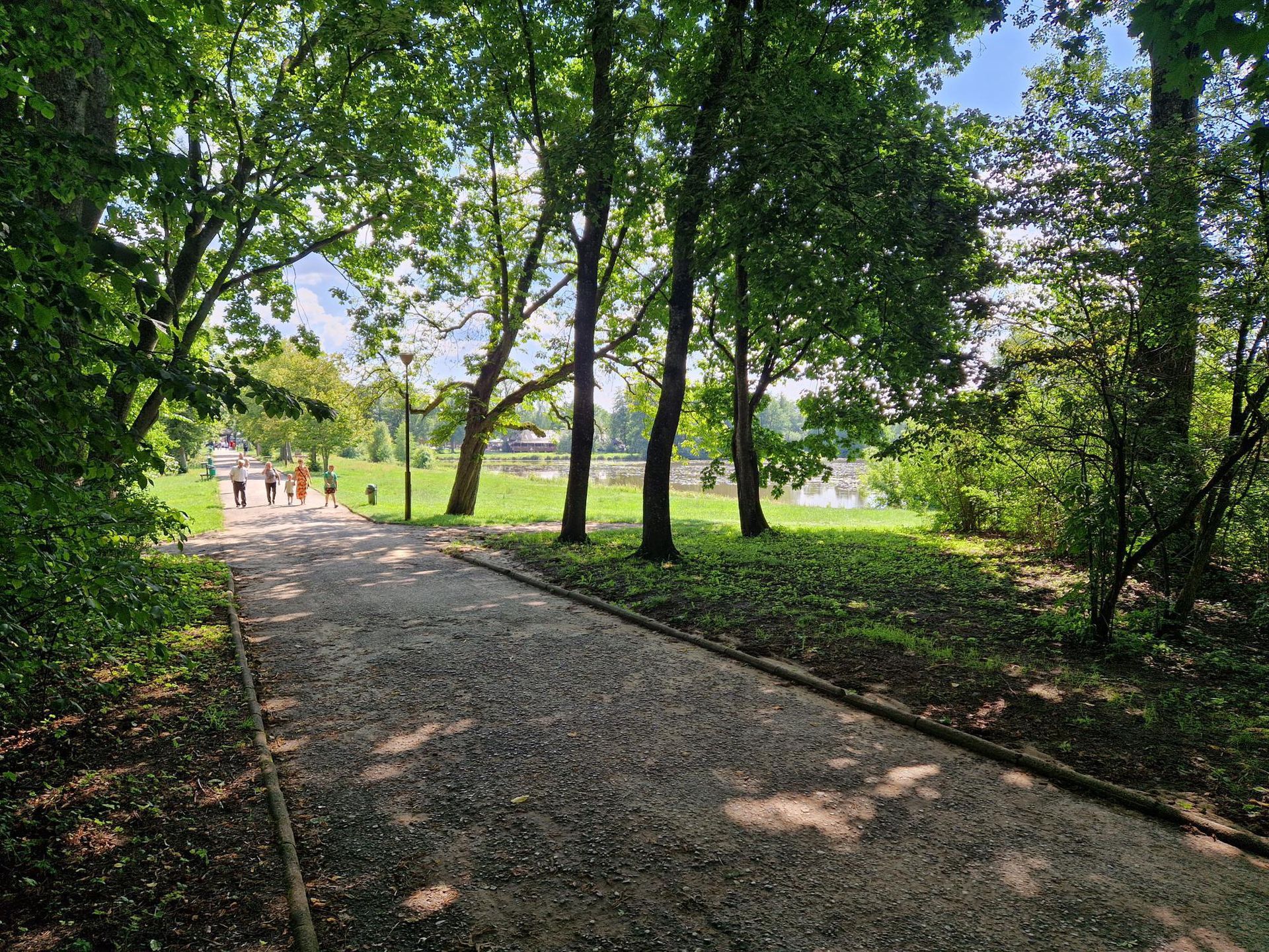 Białowieża
