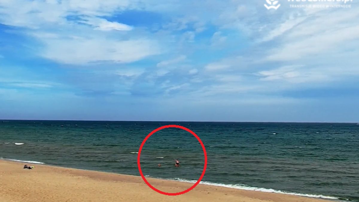 Widok na plażę we Władysławowie