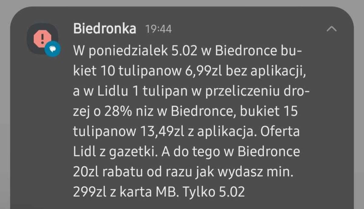 Biedronka poinformowała, że u niej jest tańszy bukiet tulipanów niż w Lidlu