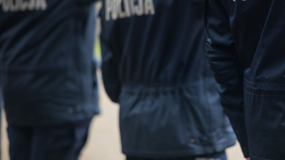 policja, napis, mundurowe, niebiescy, ochrona, polska, mundur