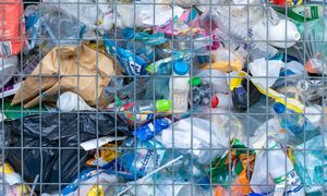 Nie idą w system kaucyjny znany z Polski. Opór samorządów we Francji