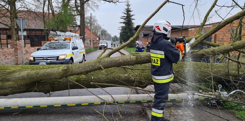 Drzewo przewróciło się na budynek